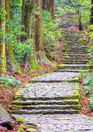 Wakayama